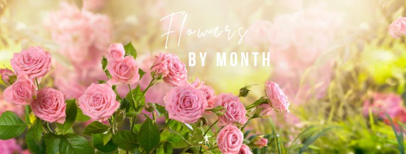 Flowers by Month